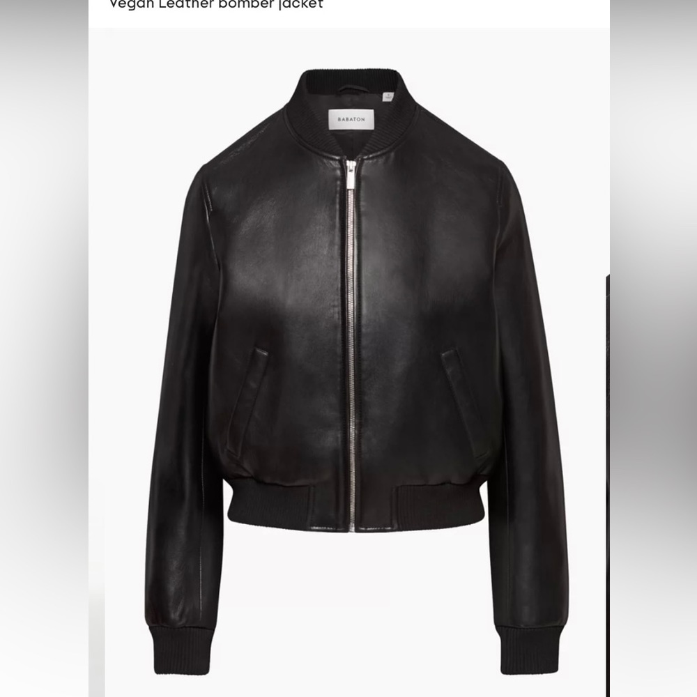Aritzia Babaton Leibovitz Bomber jacket
